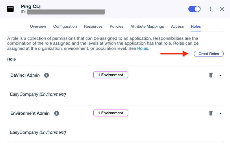 PingOne Administration Console